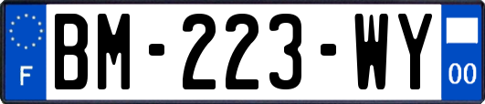 BM-223-WY