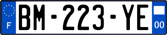 BM-223-YE
