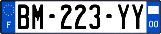 BM-223-YY