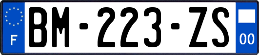 BM-223-ZS