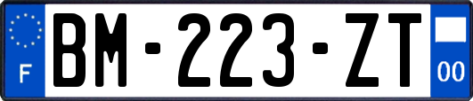 BM-223-ZT