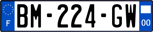 BM-224-GW