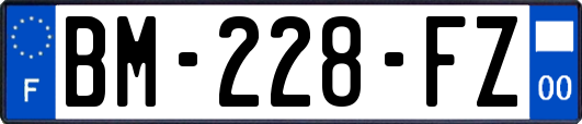 BM-228-FZ