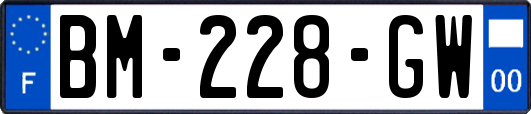 BM-228-GW