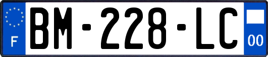 BM-228-LC