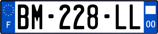 BM-228-LL
