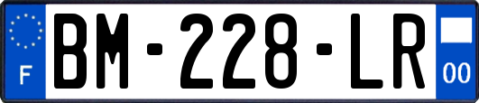 BM-228-LR