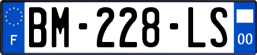 BM-228-LS