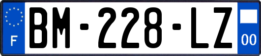 BM-228-LZ