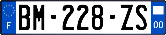 BM-228-ZS