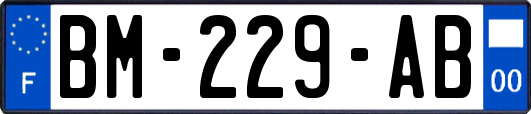 BM-229-AB