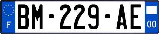 BM-229-AE