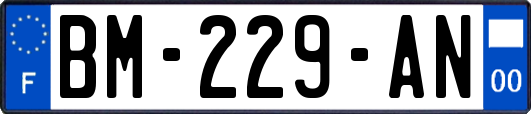 BM-229-AN