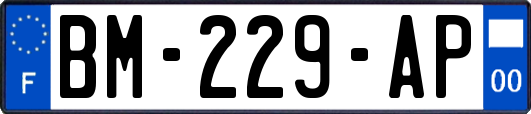 BM-229-AP