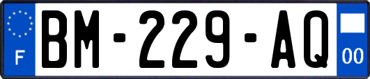 BM-229-AQ