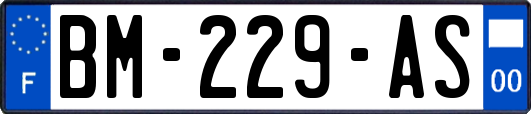 BM-229-AS