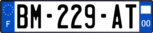 BM-229-AT