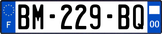 BM-229-BQ