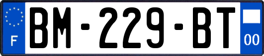 BM-229-BT