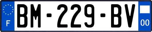 BM-229-BV