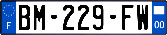 BM-229-FW