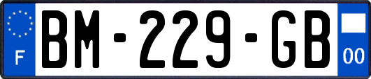 BM-229-GB