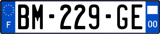 BM-229-GE