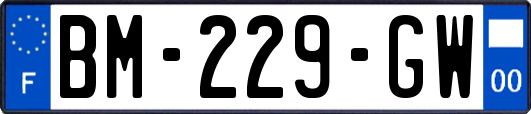 BM-229-GW