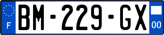 BM-229-GX