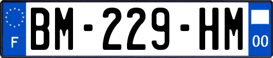 BM-229-HM