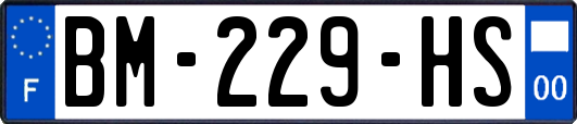 BM-229-HS