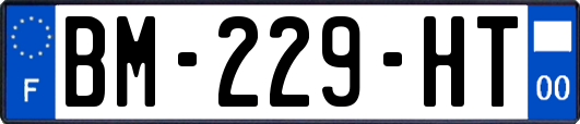 BM-229-HT
