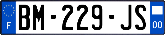 BM-229-JS