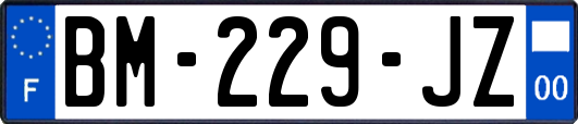 BM-229-JZ