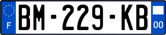 BM-229-KB