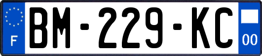 BM-229-KC