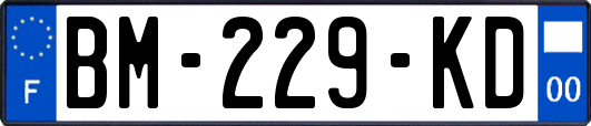 BM-229-KD