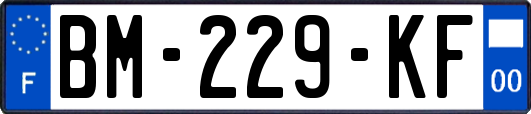 BM-229-KF