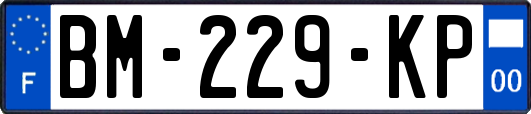 BM-229-KP