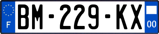 BM-229-KX