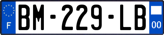 BM-229-LB