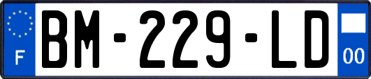 BM-229-LD