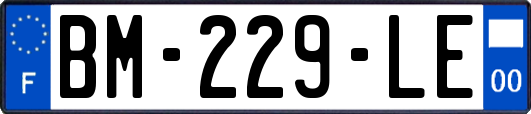 BM-229-LE