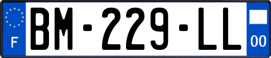 BM-229-LL