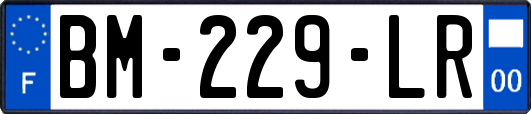 BM-229-LR