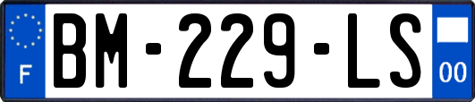 BM-229-LS