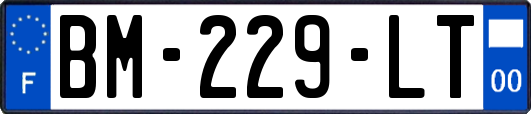 BM-229-LT