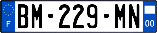 BM-229-MN