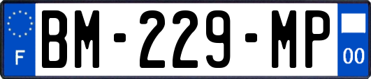 BM-229-MP