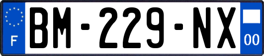 BM-229-NX